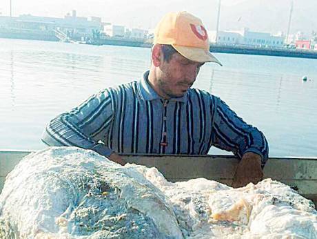وہیل مچھلی کی قے نے مچھیرے کو کروڑ پتی بنا دیا