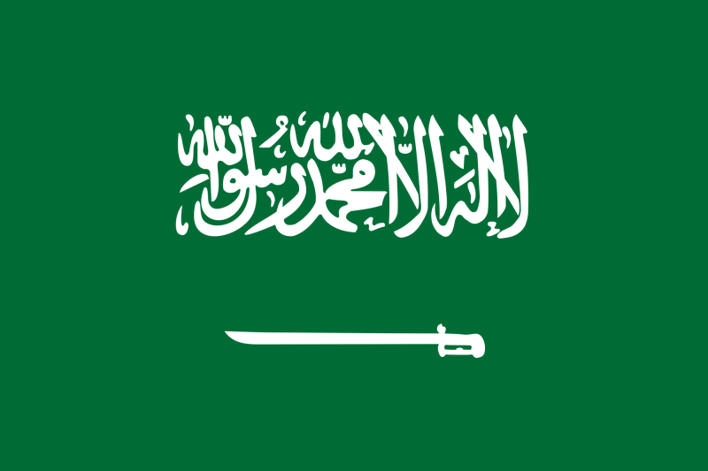 سعودی فرمانروا شاہ سلمان بن عبدالعزیز کے بھائی شہزادہ ترکی بن عبدالعزیز آل سعود انتقال کرگئے