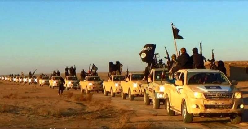 داعش کا مغربی نوجوانوں کو ٹرمپ کیخلاف استعمال کرنیکا منصوبہ‎