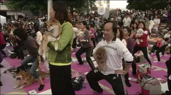 136 جاپانیوں نے پالتو کتوں کے ساتھ یوگا کا ریکارڈ بنا دیا