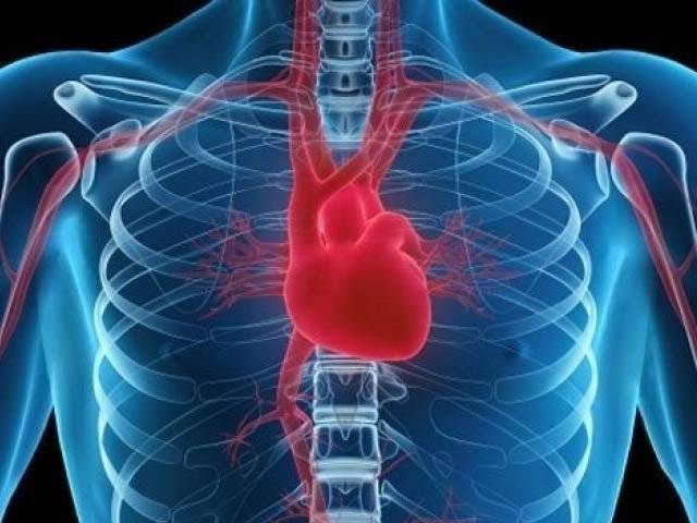 ہارٹ اٹیک کے بعد مردہ ہوجانے والے حصوں کو دوبارہ زندہ کرنے میں اہم کامیابی