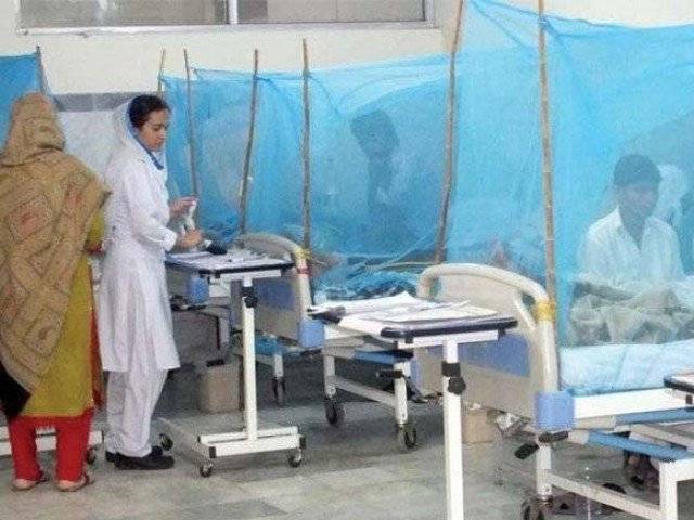 ڈینگی وائرس سے مزید 62 افراد متاثر، تعداد 1773 ہوگئی