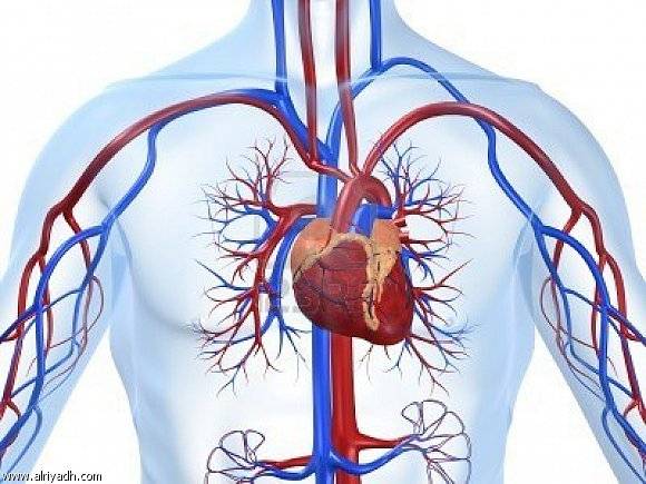 غزہ میں منصوعی دل کی تیاری میں کامیابی