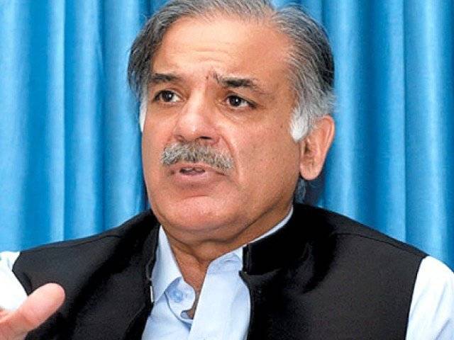 وطن کی حفاظت کے لیے جانیں قربان کرنے والے قوم کے ہیرو ہیں: شہباز شریف