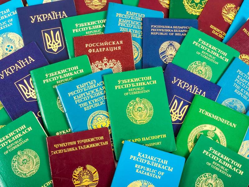 دنیا میں کتنے رنگ کے پاسپورٹ ہوتے ہیں?