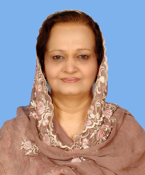 طلاق کی بڑی وجہ گیس لوڈ شیڈنگ ہے: حکومتی خاتون رکن اسمبلی