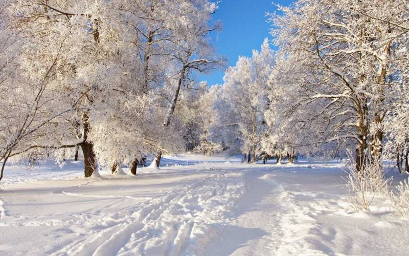 شدید سردی کی انٹری :دسمبر کے شروع ہوتے ہی جاڑےنے اپنا رنگ دکھا دیا