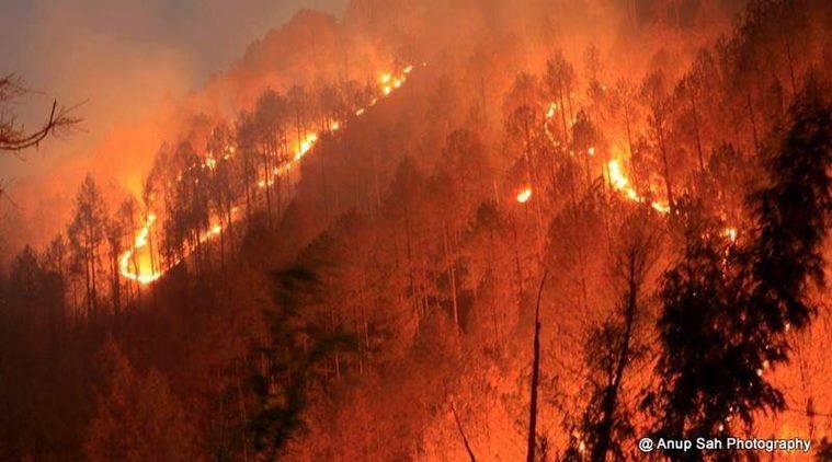 امریکی ریاست ٹینسی کے جنگلات میں بھیانک آگ، 7 افراد ہلاک ، ہزاروں افراد بے گھر