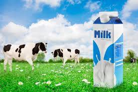 دودھ میں یوریااورفارمولین کیمیکلزکی ملاوٹ ،مصنوعی دودھ بنائے جانے کا انکشاف