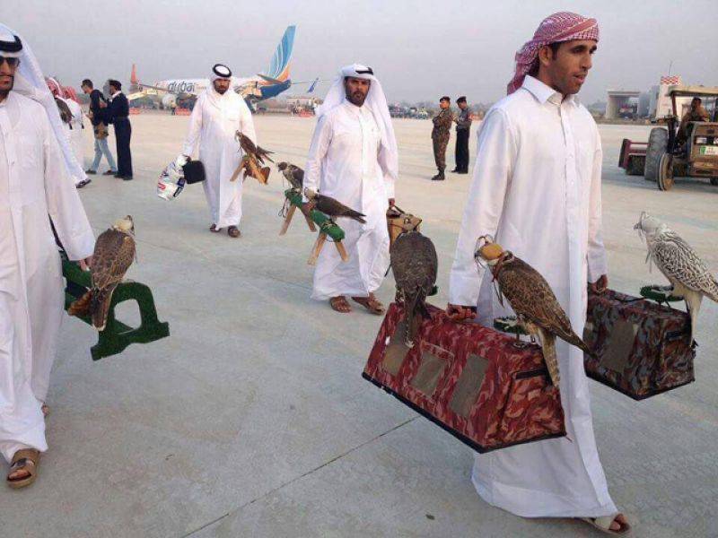 قطری مہمان اپنے ساتھ شکار کے لیئے کیا لائے دیکھ کر آپ بھی حیران رہ جائیں