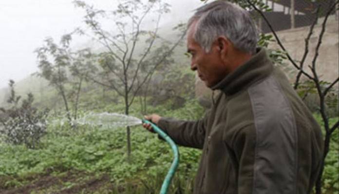 پیرو میں کسان کا کارنامہ ، دھند سے پانی بنا دیا