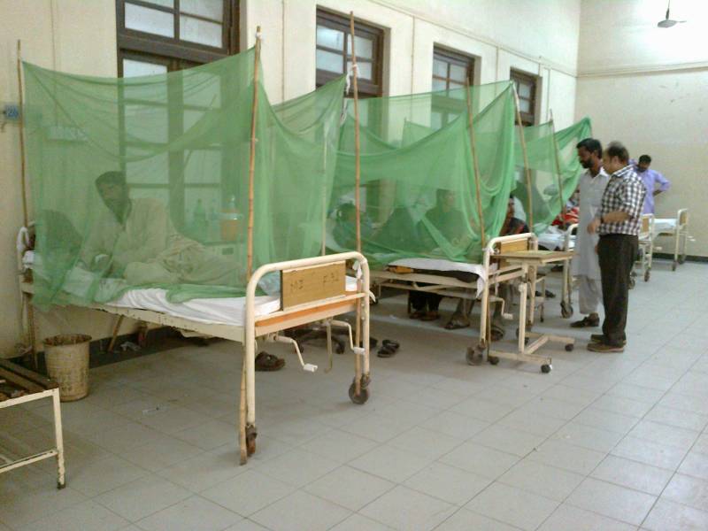 کراچی میں ڈینگی وائرس کے مزید 32کیسز سامنے آگئے 
