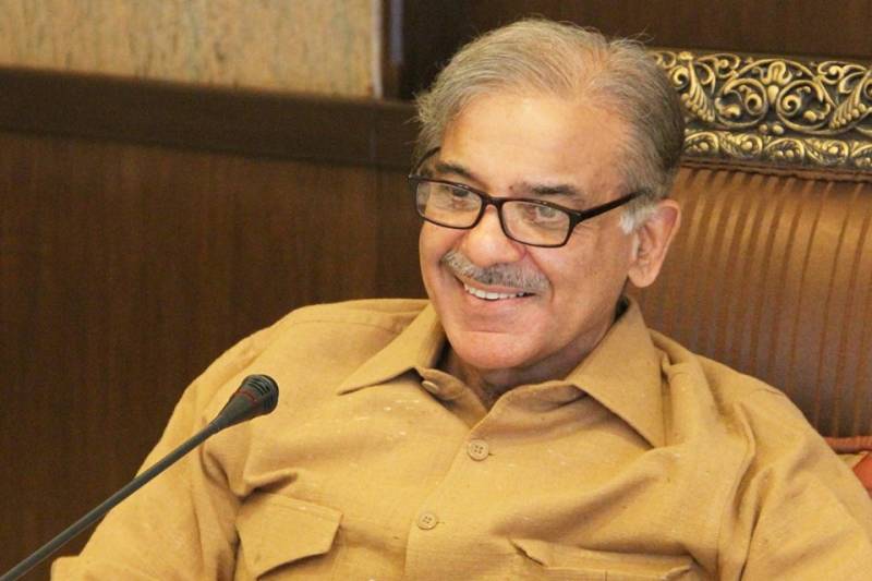 شہباز شریف کو نااہل قرار دیں: تحریک انصاف عدالت پہنچ گئی