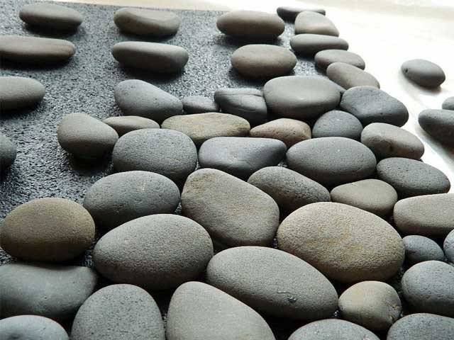 امریکا میں چمڑے میں لپٹے عام پتھروں کی مہنگے داموں فروخت
