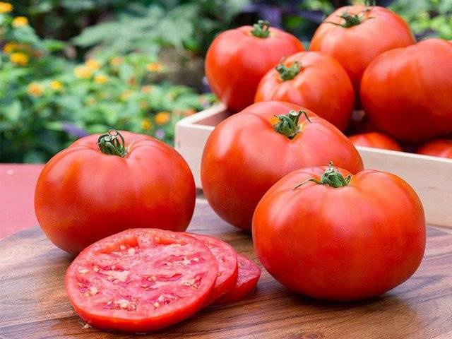 ٹماٹر کا استعمال کینسرسمیت 6 خطرناک بیماریوں سے بچاتا ہے، ماہرین