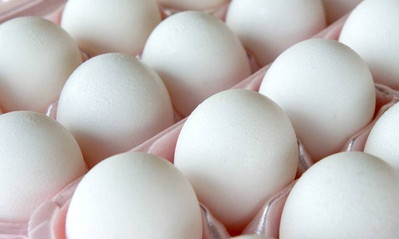 یاداشت کے لیئے انڈے اور پالک انتہائی مفید
