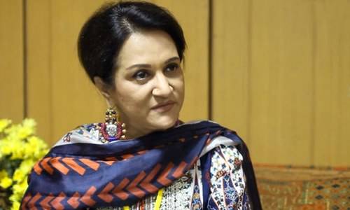 اداکار کبھی ریٹائرڈ نہیں ہوتا ، جب تک دم میں دم ہے کام کرتی رہوں گی ‘ بشریٰ انصاری 