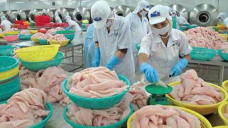 پانچ ماہ میں سمندری خوراک کی برآمد میں 17.40 فیصد اضافہ
