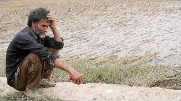 بھارتی کسانوں میں خودکشی کی شرح میں42 فیصد اضافہ