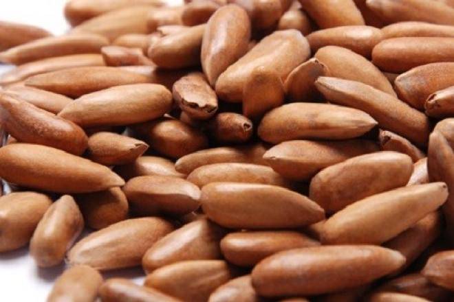 چلغوزے کا استعمال کئی بیماریوں سے بچاؤ کا ضامن