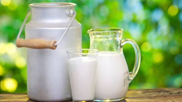 اونٹنی کا دودھ کتنا مفید ہے ،جانیئے ماہرین کی رائے