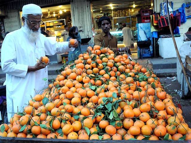 کینوکی برآمدات بڑھانے کیلئے جامع پالیسی پر کام شروع کردیاگیا