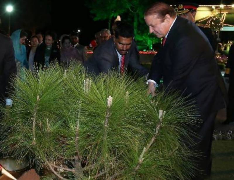 وفاقی حکومت کے زیراہتمام نیشنل گرین ڈے ،وزیراعظم نے افتتاح کیا