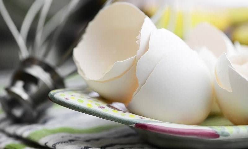 انڈے کے چھلکے صحت کے لیے انتہائی مفید ہوتے ہیں،ماہرین 