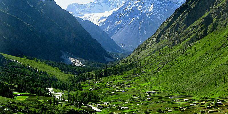 خیبر پختونخواہ میں شجر کاری کے لیے ہیلی کاپٹر کا استعمال کرنے کا پروگرام