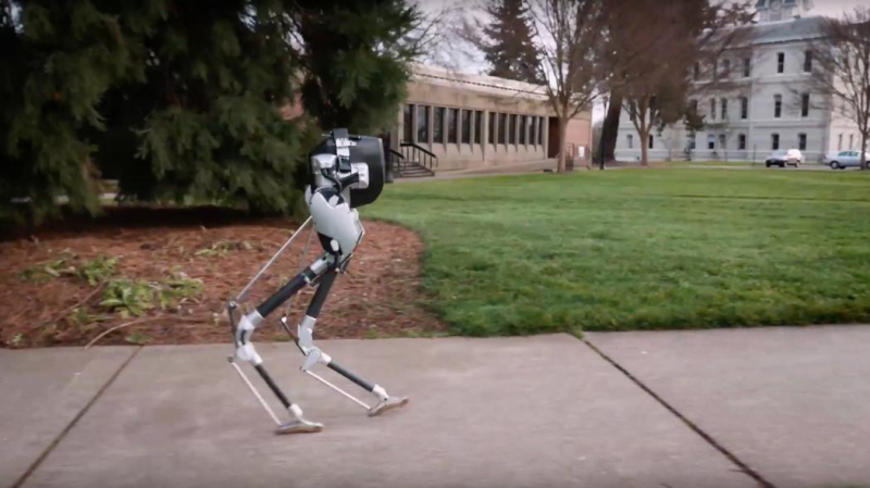 سائنسدانوں کی انوکھی ایجاد، شتر مرغ سے ملتا جلتا روبوٹ تیارکر لیا 
