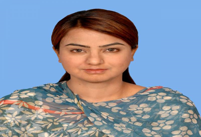 اداروں پر دباﺅ ڈالنے سے کام نہیں بنے گا ،عمران خان کو ثبوت پیش کرنا ہوں گے،مائزہ حمید