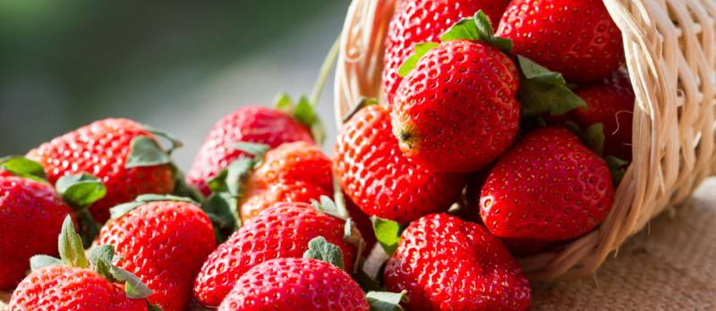 وٹامن سی سے بھرپور پھل اسٹرابری جسم کے مدافعتی نظام کو بہتر بناتا ہے