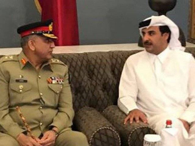 دہشت گردی خلاف جنگ میں پاکستان کا کردار قابل ستائش ہے، امیر قطر