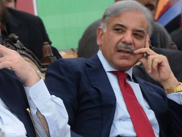 دہشت گردی کا خاتمہ کیے بغیر خوشحالی نہیں آ سکتی: شہباز شریف