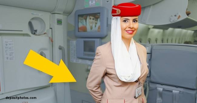 جہاز میں ائرہوسٹس پیچھے ہاتھ کیوں کرکے کھڑی ہو تی ہے ?
