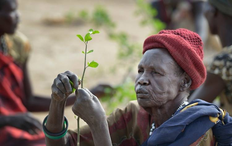 جنوبی سوڈان میں لوگ درختوں کے پتے اور بیج کھاکر گزارہ کرنے لگے