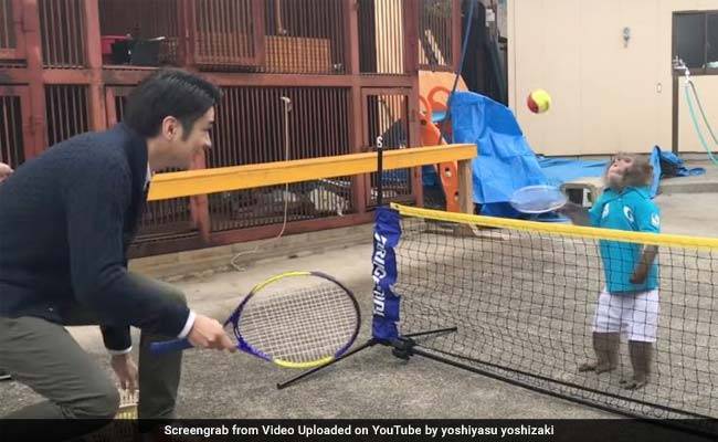 جاپان: ٹینس کے سپر اسٹار بندر کے سوشل میڈیا پر چرچے