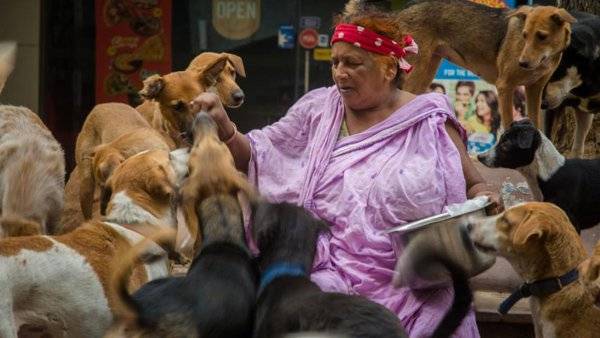 آوارہ کتوں کو پالنے والی بھارتی خاتون کی دنیا بھر میں شہرت 