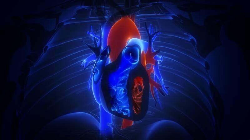 چین ، دوبچوں کی تھری ڈی پرنٹنگ ٹیکنالوجی کے ذریعے دل کی سرجری