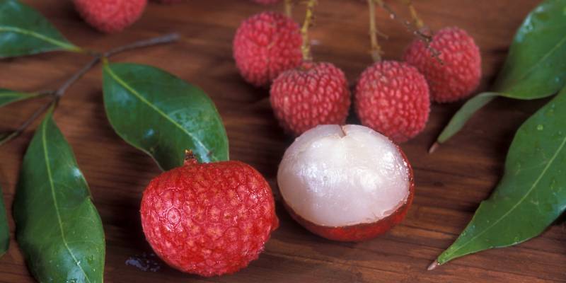 گرمیوں کا انمول پھل جو خطرناک بیماریوں سے بچاتا ہے 