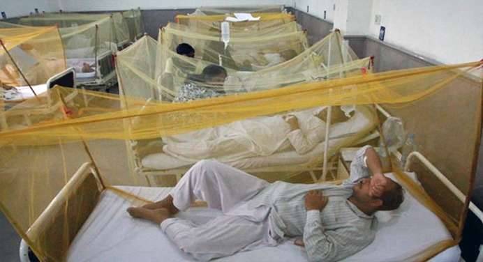 کوئٹہ: کانگو کا ایک اور مریض دم توڑ گیا،تعداد 2 ہوگئی