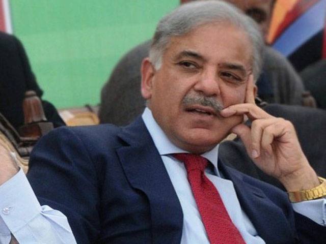  آزاد میڈیا کسی بھی معاشرے میں محتسب کے امور سر انجام دیتا ہے: شہباز شریف