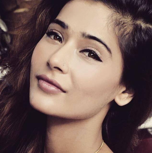 بھارتی میڈیا پاکستان مخالف خبروں کو بہت زیادہ بڑھا چڑھا کر پیش کرتا ہے, اداکارہ سارہ خان