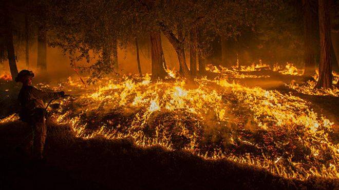کوئٹہ:موسیٰ خیل میں آسمانی بجلی گرنے سے جنگل میں آگ لگ گئی