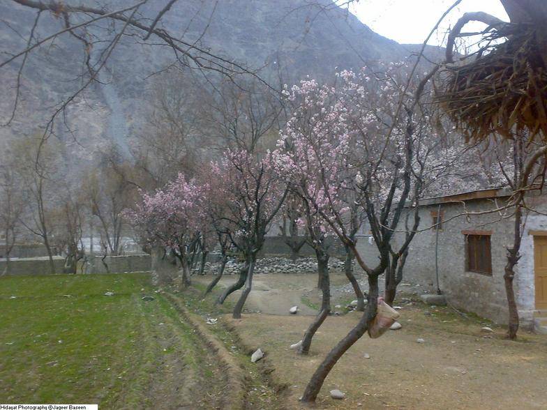  گلگت بلتستان،بالائی فاٹا اور کشمیر میں گرج چمک کےساتھ ہلکی بارش کا امکان