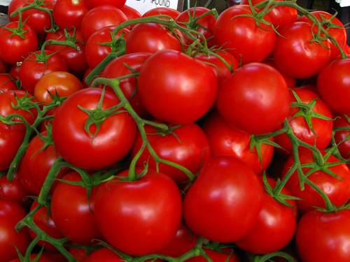 ٹماٹر معدے کے سرطان کو روک سکتا ہے، امریکی ماہرین صحت 
