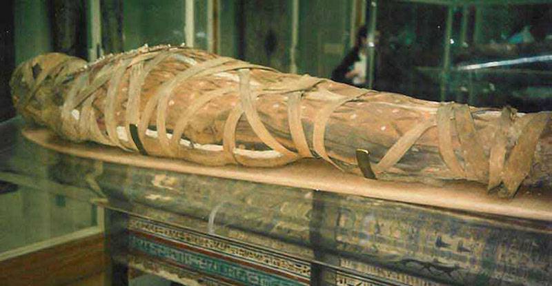 قدیم مصری ممیوں میں ترک جینز کے آثار