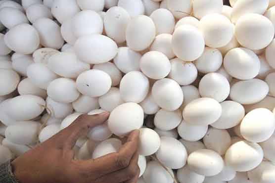  پنجاب فوڈ اتھارٹی کا انڈوں سے پاؤڈر بنانے والی فیکٹری پر چھاپہ،11 لاکھ گندے انڈے پکڑے لئے