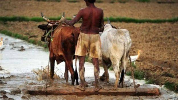 مہاراشٹر حکومت کا 31 لاکھ کسانوں کے قرضے معاف کرنے کا فیصلہ