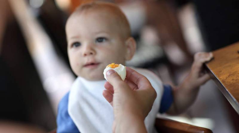 روزانہ ایک انڈا بچوں کی نشوونما میں معاون ثابت ہو سکتا ہے: تحقیق
